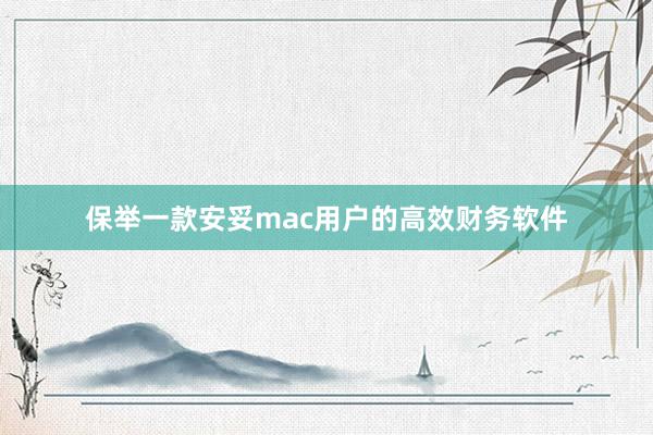 保举一款安妥mac用户的高效财务软件