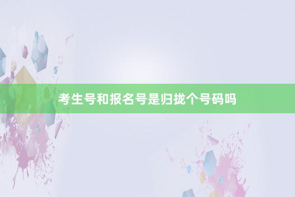 考生号和报名号是归拢个号码吗