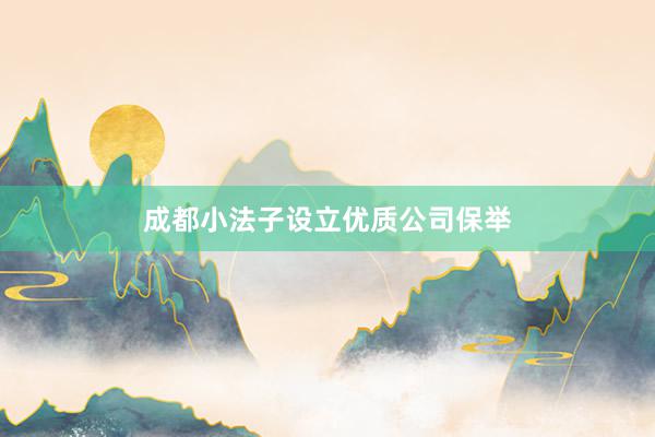 成都小法子设立优质公司保举
